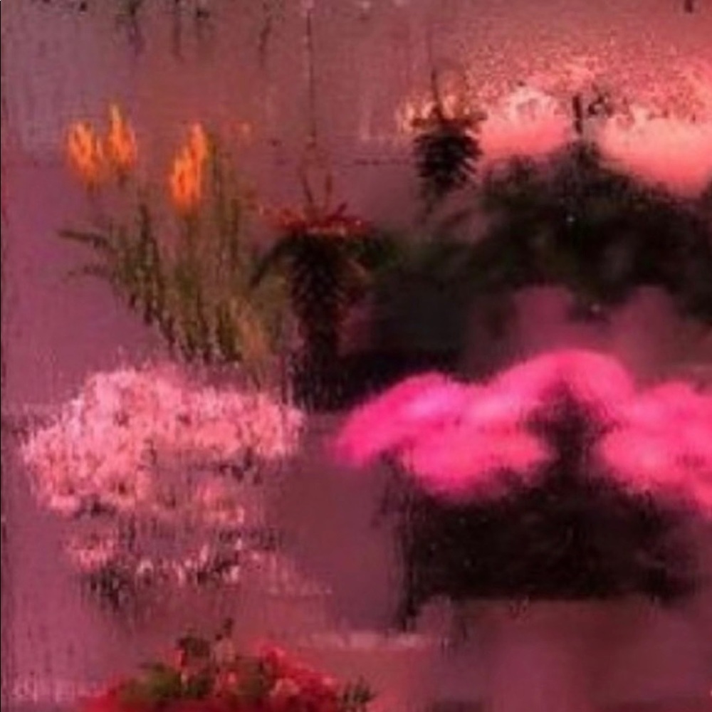 Meet your Posher, Adi